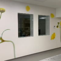 Durchblick Fenster